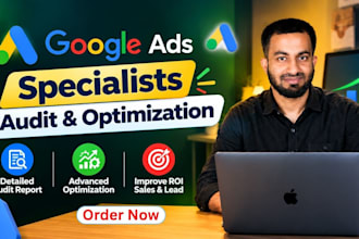 audit and optimize google ppc ads expert and p max campaigns for better ROI