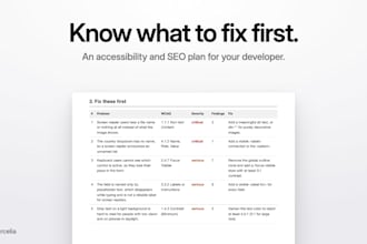 write an accessibility and seo action plan for your website