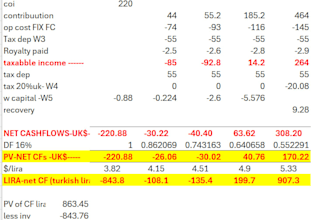 calculate npv with foreign currency cash flow conversion