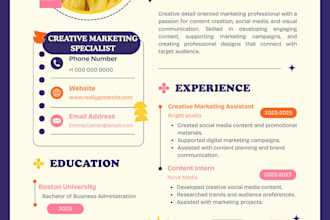 design a professional resume or CV