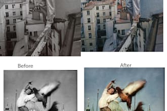 colorize your black and white photos