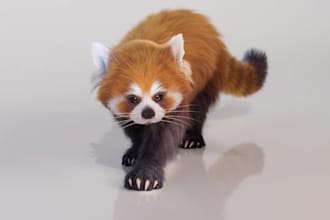 create realistic 3d animal model, pet creature with fur, xgen hair and texture