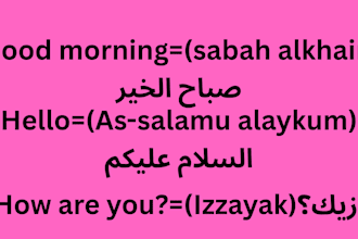 teach you spoken arabic through interactive conversation