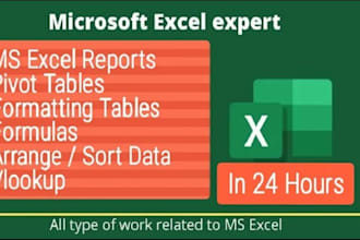 do accurate and lightning fast excel spreadsheet work