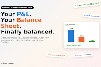 prepare your financial statements like p and l balance sheet and cash flow