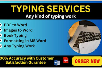 provide fast typing work of 40 pages within 24 hours
