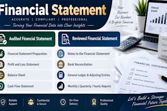 audit review financial statements, bookkeeping, cpa us