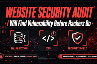 do website security audit and penetration testing with PDF report