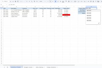 clean messy data and create custom excel or google sheets trackers