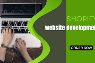 design a professional shopify store