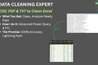 clean, format, extract and organize csv or pdf data to excel