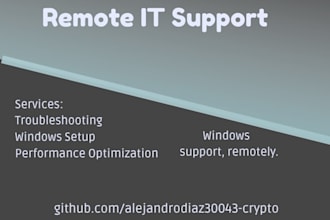 provide remote windows technical support