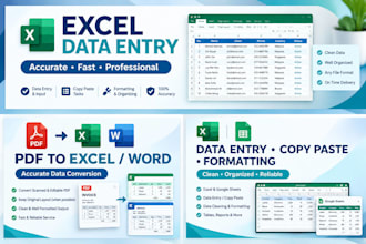 do professional excel data entry, and copy paste work