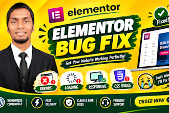 fix elementor bugs, errors, loading and responsive issues