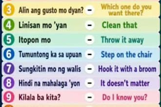 translate, fix, improve, and write words phrases sentences