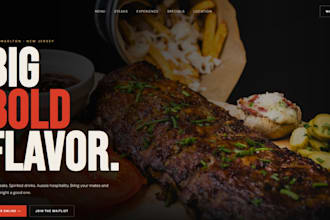 build a professional responsive website and landing page