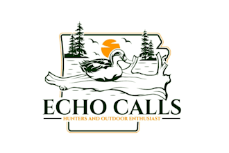 create attractive and imagination duck logo design