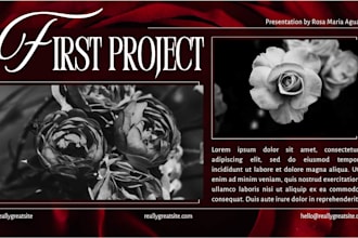 design custom canva presentation and power point slides