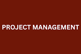 project management, project review, project planning