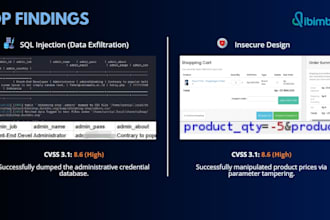 perform a basic web vulnerability assessment and security audit