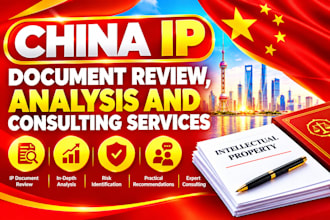 provide professional china IP document review, analysis and consulting services