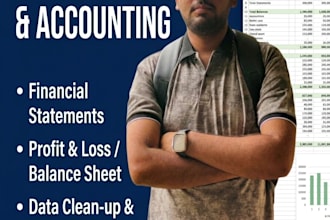 do professional excel bookkeeping and accounting