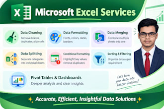 do excel data cleaning formatting analysis and dashboards