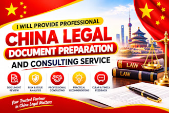 provide professional china legal document preparation and consulting service