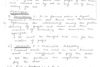 provide neat and professional handwritten work