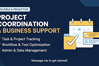 provide expert project management and admin support