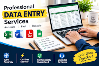 do professional data entry, excel and web search