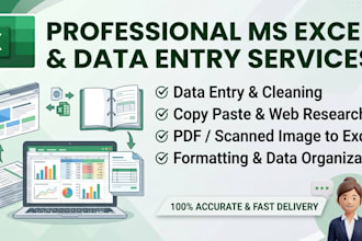 be your expert for ms excel and data entry word