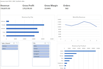 build dynamic excel dashboard and data analysis