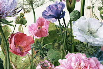 draw beautiful floral and botanical illustrations for you