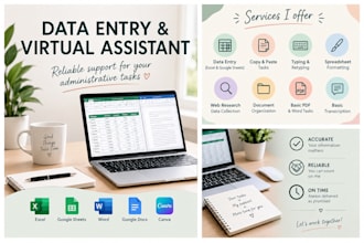 virtual assistant data entry specialist
