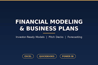 create a professional financial model