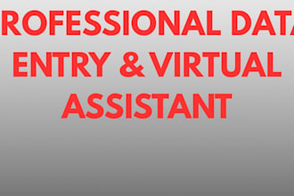 do data entry virtual assistant and data verification