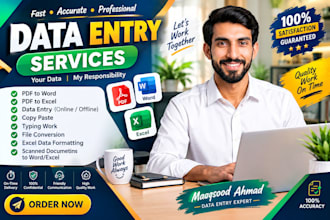 do fast and accurate data entry, PDF to word and excel work