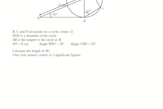 solve any mathematical question or assignment