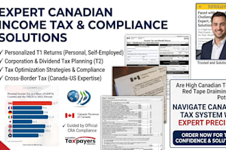 prepare canada tax returns and provide cra tax compliance support