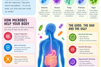 design scientific posters and infographics for research