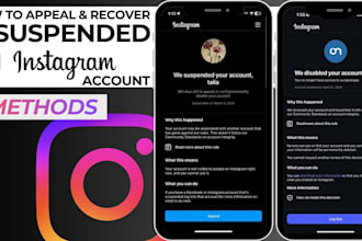 appeal stripe or wise business account suspended for suspicious activity