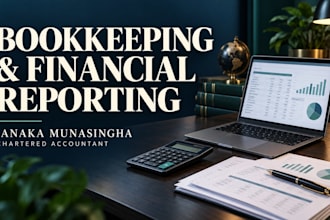 be your virtual cfo for financial planning and management