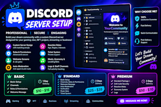 setup a professional and advanced discord server