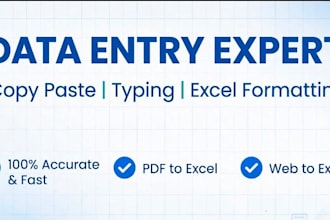 do accurate data entry  copy paste typing
