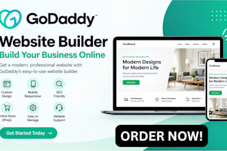 design a professional godaddy website or landing page design