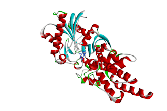 perform molecular docking using pyrx and autodock vina