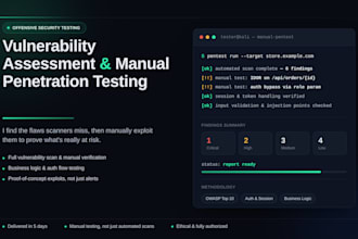 do vulnerability assessement and manual penetration testing