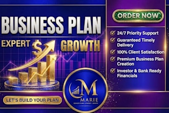 write a professional business plan and proposal