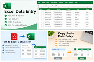 do accurate data entry, copy paste and excel work